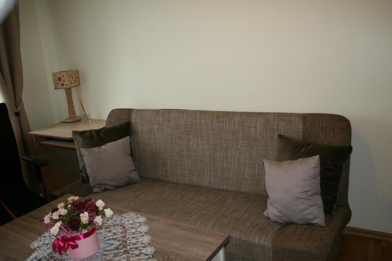 Cosy One Room Apartment Vilnius Luaran gambar