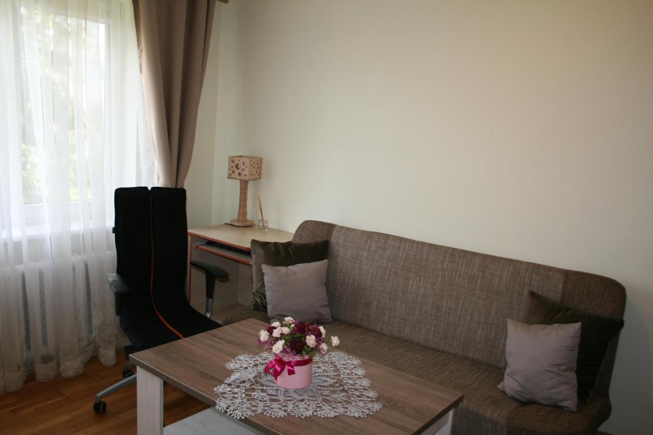 Cosy One Room Apartment Vilnius Luaran gambar